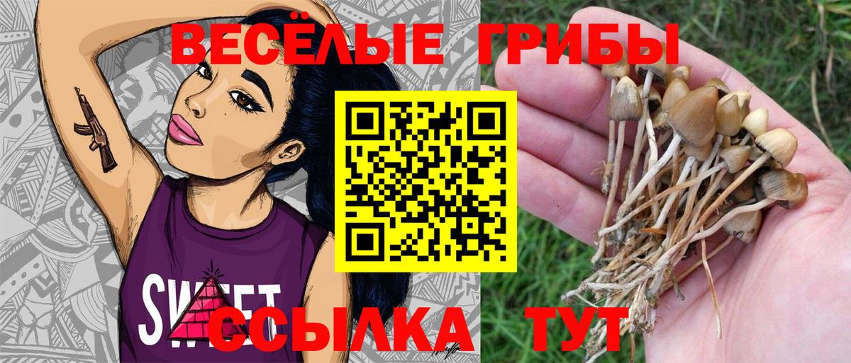 Галлюциногенные грибы прущие грибы  Вход с VPN  Псилоцибиновые грибы мицелий  Россия 